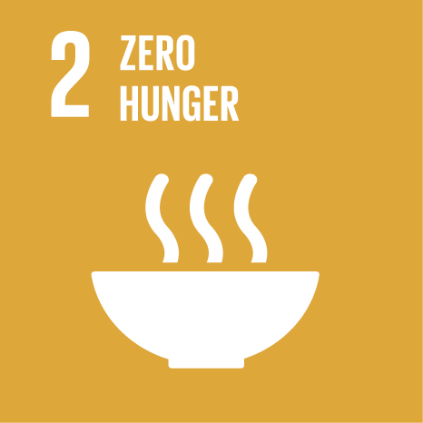 No Poverty Icon