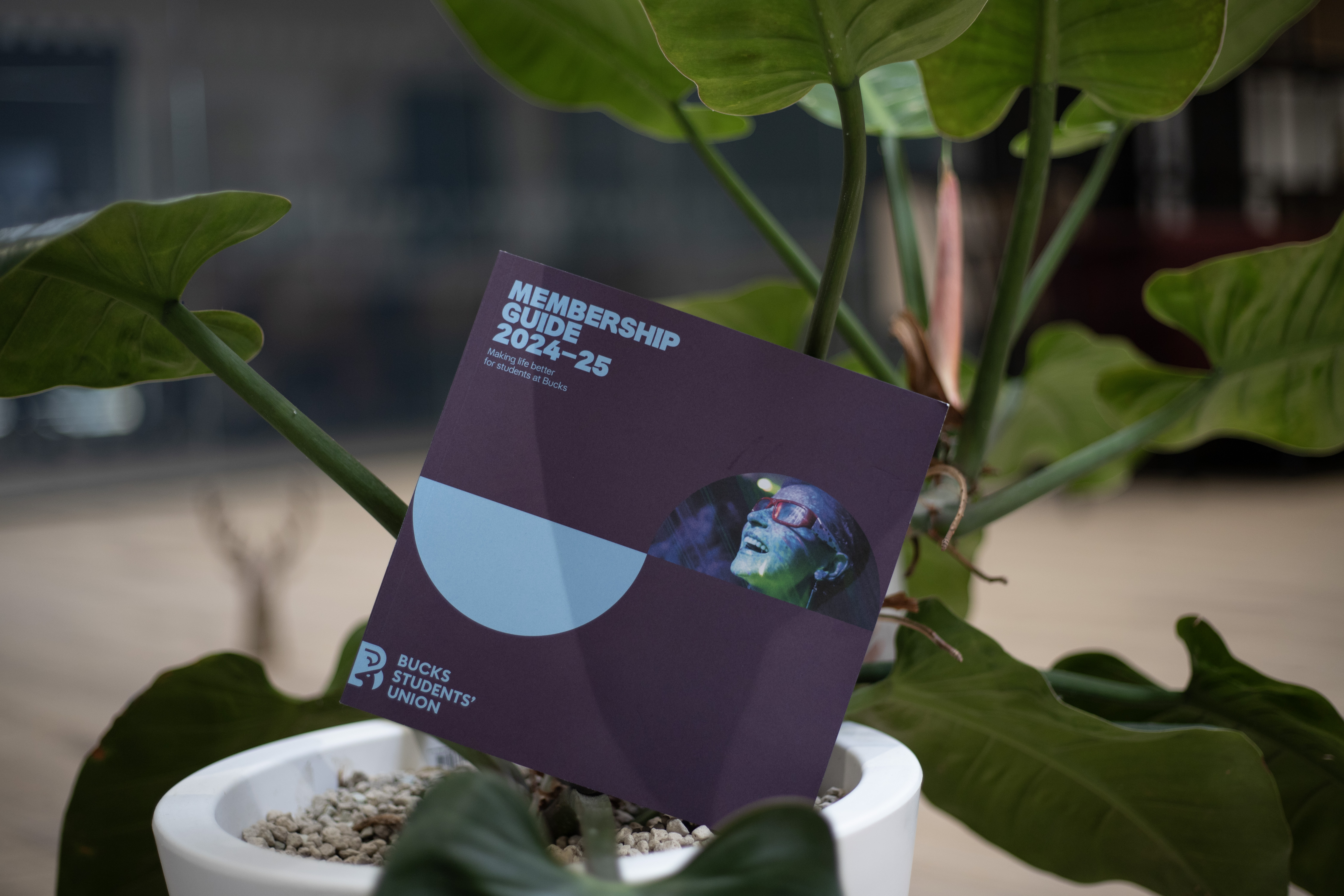 Click here to find out more.